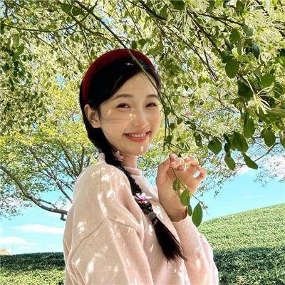 一只小蜘蛛